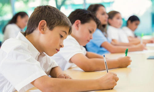 根据社会现实，从理性中谈及就业压力