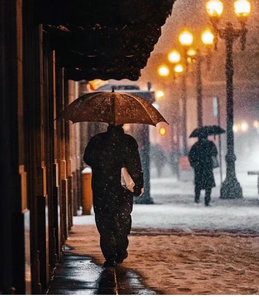 留学生回国就业意向持续增强